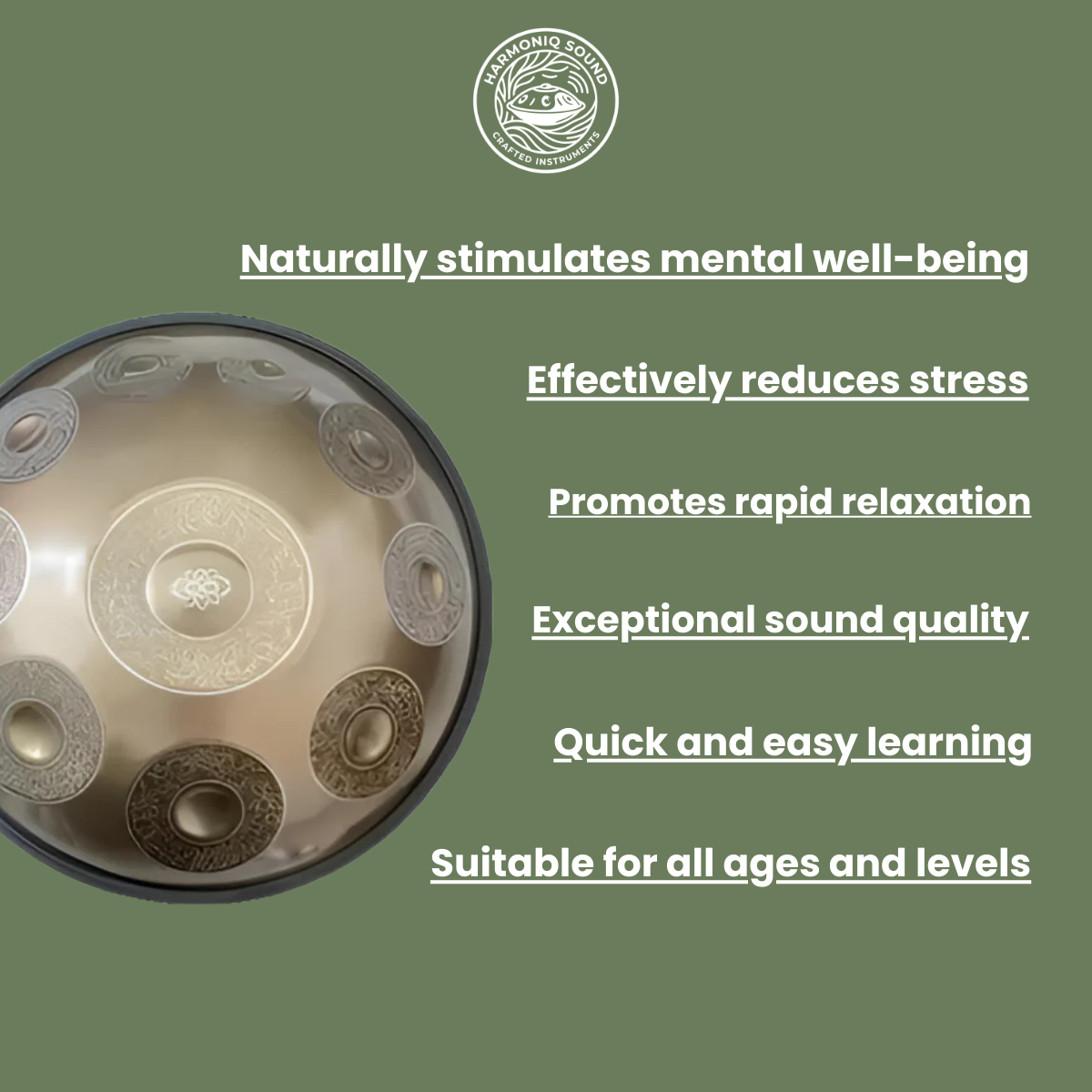 Mayashi Handpan - D-Moll (D Kurd)