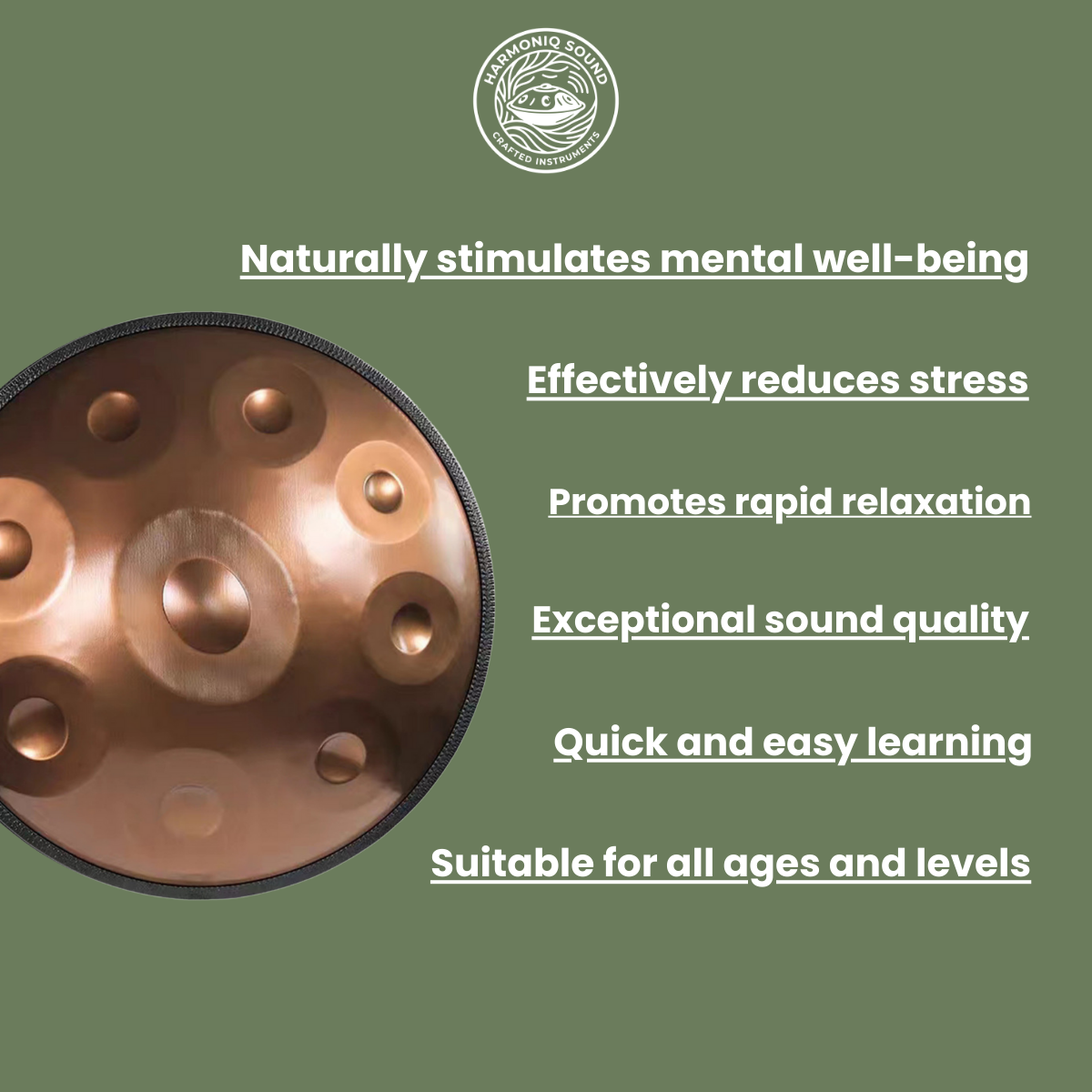 Sacred Aura Handpan - D Minor