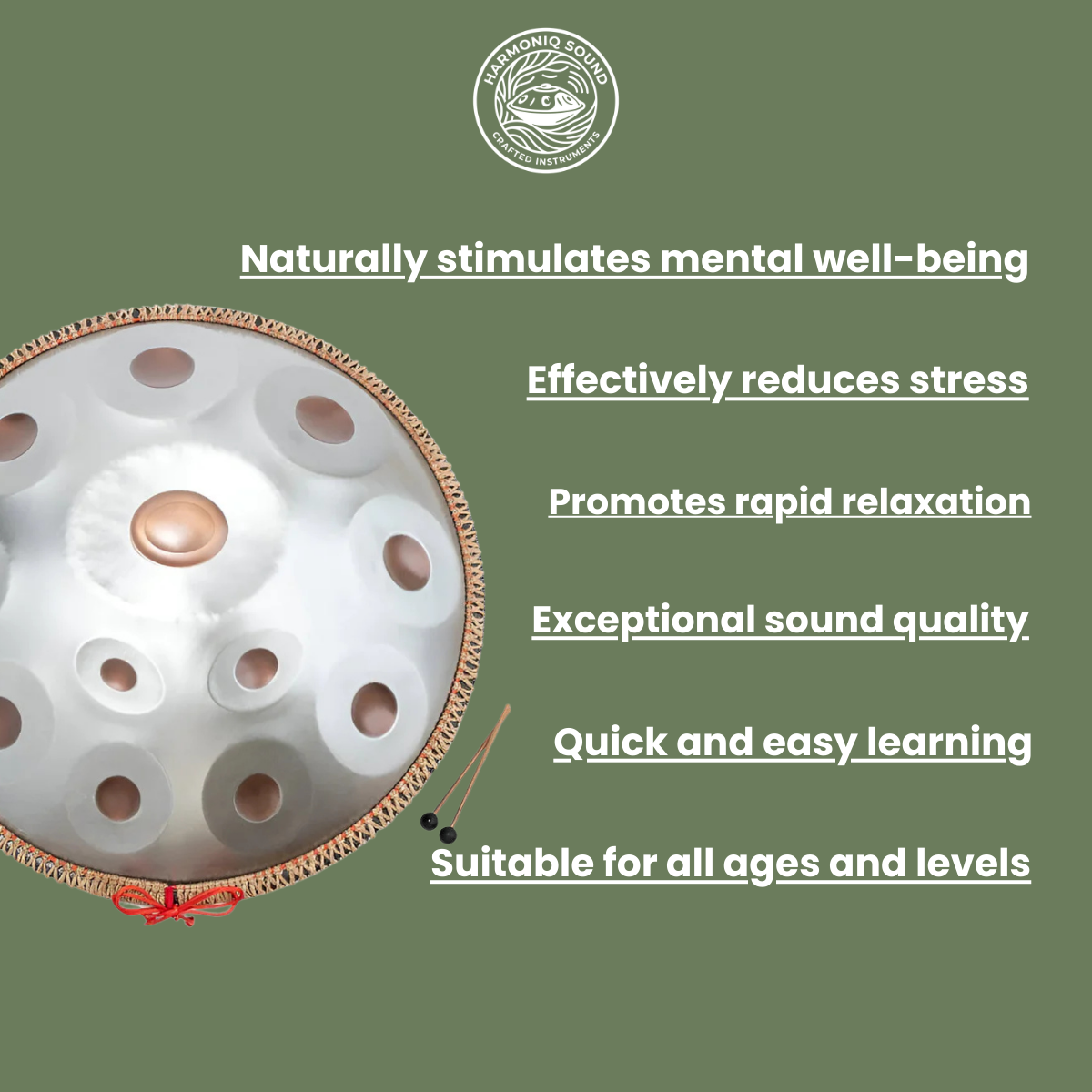 Kaleon Handpan - D Moll