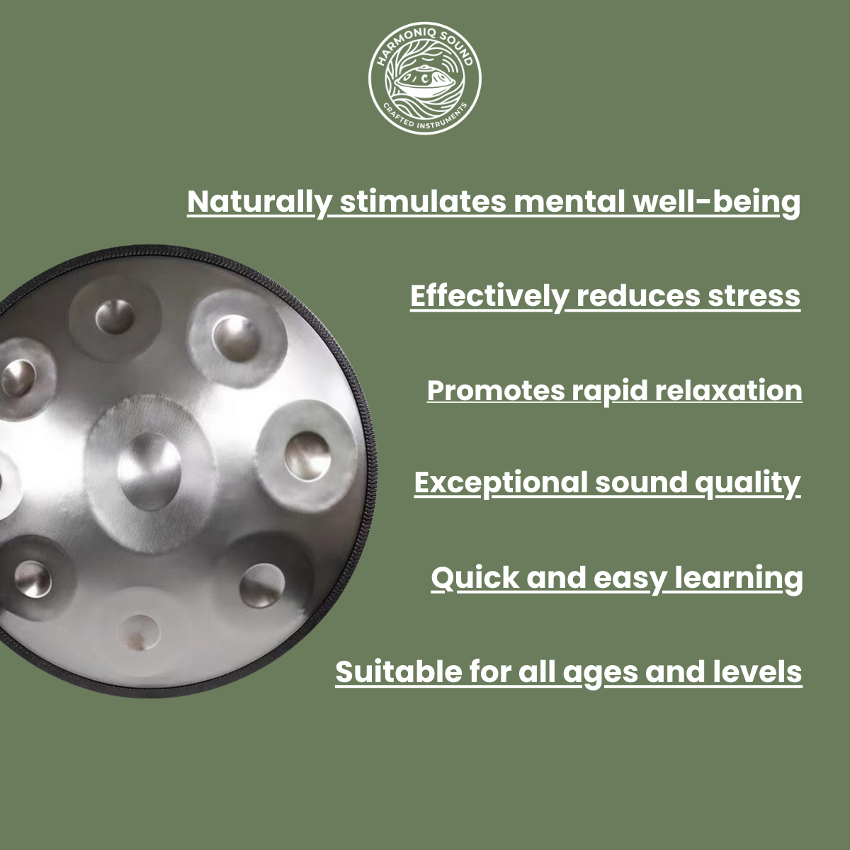 Aeris Handpan – D mineur