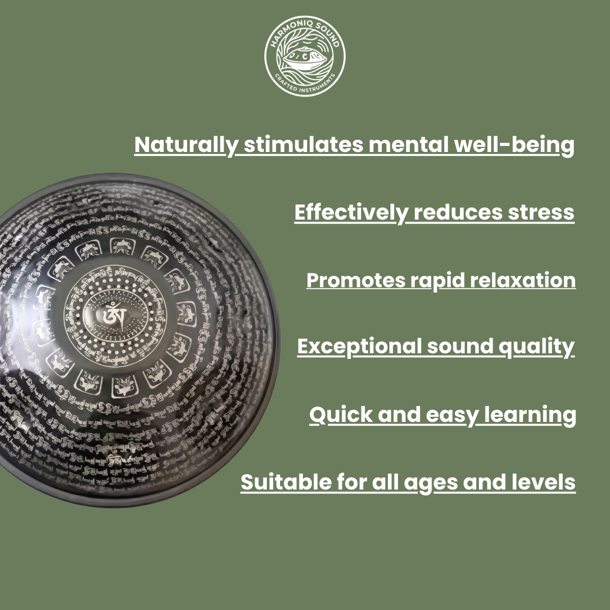 D-Moll Kurd Handpan – 9 bis 14 Noten