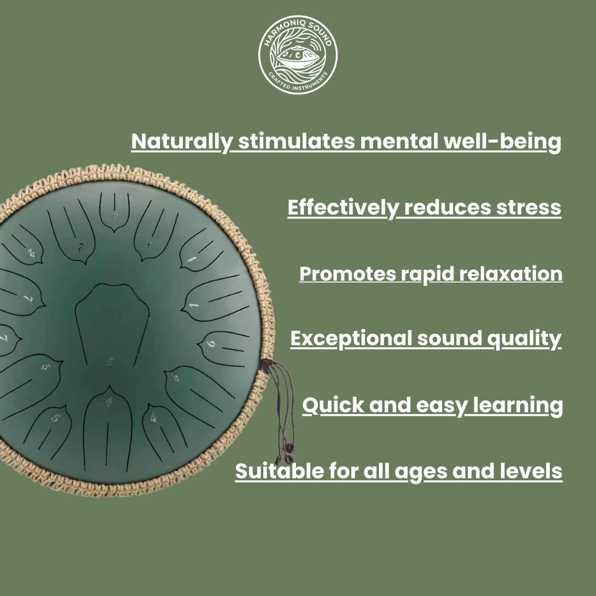 15-Noten-Zungentrommel in D (440 Hz) - 33 cm
