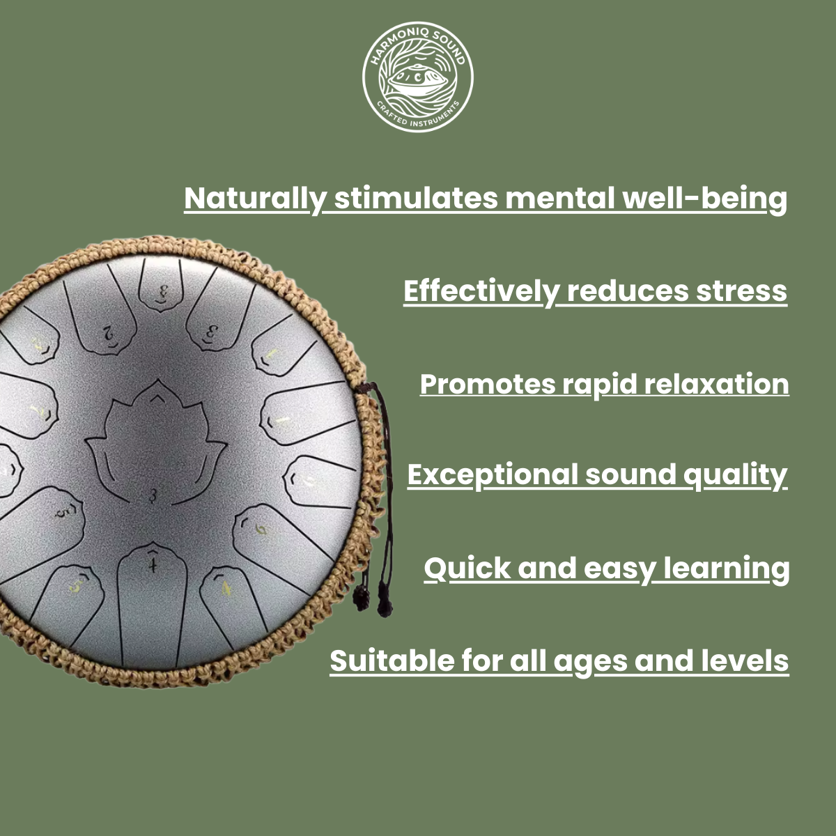 15-Noten-Zungentrommel in C-Dur (440 Hz) - 35 cm